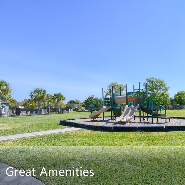 Features and Amenities